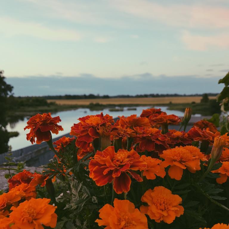 Ilmatsalu Motell Екстер'єр фото